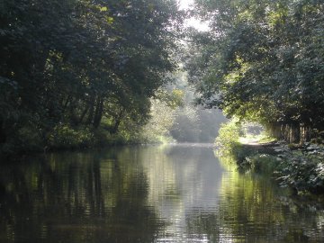 gorgeousviewfromtheboat.jpg